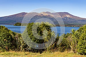 Landscape at Turangi in New Zealand