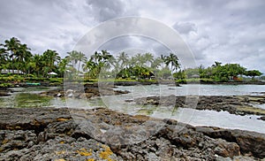 Landscape with turtles in Richardon ocean park