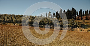 Landscape in the Tuscan Countryside in Chianti near Florence