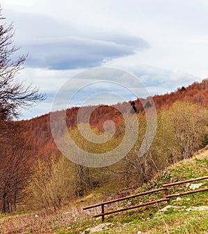 Landscape of Tuscan Emilian Apennines In Ventasso, Italy