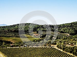 Landscape of the Tuscan vineyards, Italy