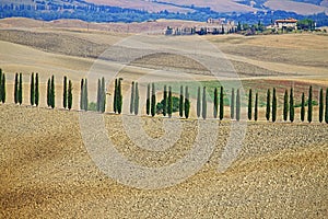 Landscape in Tuscany with luxury villa and cipress