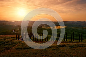 Landscape in Tuscany, near the Siana and Pienza, Sunrise morning in Italy. Idyllic view on hilly meadow in Tuscany in beautiful