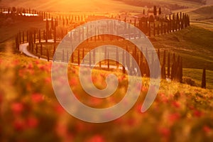 Landscape in Tuscany, near the Siana and Pienza, Sunrise morning in Italy. Idyllic view on hilly meadow in Tuscany in beautiful