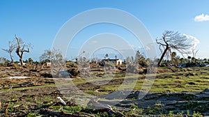 A landscape with only twisted remnants of buildings and uprooted trees left standing a testament to the ferocity of photo
