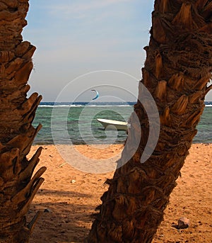 Landscape with two brown the tree trunks of date palms in the foreground and the background kayserfer and white fishing boat, calm