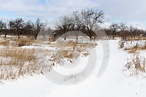 Landscape in Ukrainian country