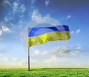 Landscape with Ukrainian flag in Ukrainian field