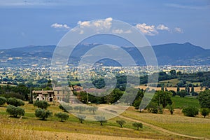 Landscape in Umbria at summer