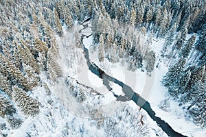 landscape of an unfrozen river in a winter forest, aerial view of a winter forest