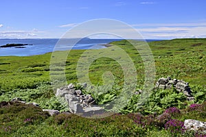 Landscape on Uninhabited Island of the North West Highlands of Scotland