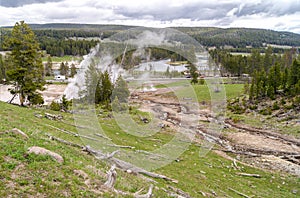 Landscape at the Upper Geyser Basin in Yellowstone National Park where steam rises from geyser vents and hot springs near a forest