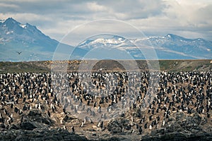 Landscape of Ushuaia, Patagonia, Argentina