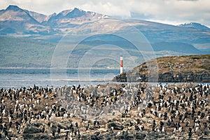 Landscape of Ushuaia, Patagonia, Argentina