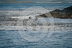 Landscape of Ushuaia, Patagonia, Argentina