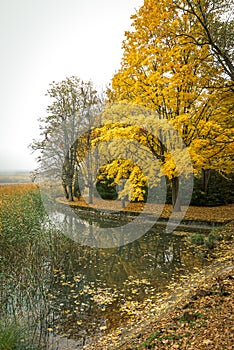 Landscape of the UÃ±a lagoons, Cuenca province in Autumn. Spain