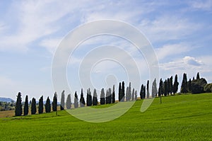 Landscape of the Val d`Orcia