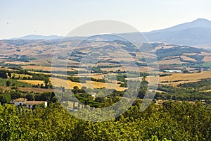 Landscape in Val d'Orcia (Tuscany)