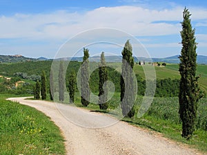 The landscape of the Val d'Orcia, Tuscany