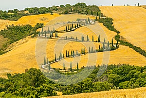 Landscape in Val d'Orcia (Tuscany)