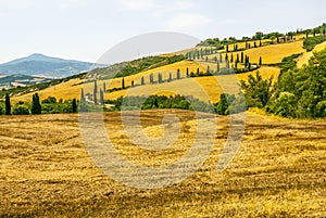 Landscape in Val d'Orcia (Tuscany)