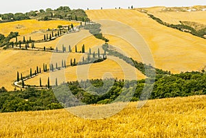 Landscape in Val d'Orcia (Tuscany)