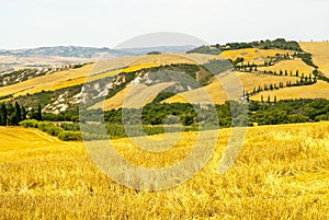 Landscape in Val d'Orcia (Tuscany)