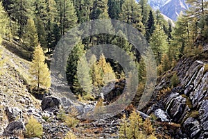 Landscape in the Val Trupchun in the Swiss National Park