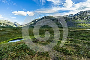 Landscape of the Valldalen Valley towards Trollstigen, Sunnmore, More og Romsdal, Norway