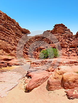 Landscape of Valle de Piedra de Granito and Areniscas. Rock formations in the desert of Egypt. CANYON COLORADO IN SINAI DESERT. photo