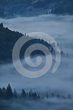 Landscape of a valley covered by mist in the morning