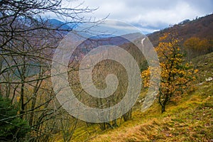 Landscape of a valley in Monte Catria