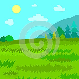 Mountains Pine and Spruce Forest, Nature Landscape