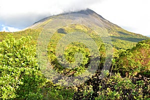 Landscape of the vegetation of the natural park of the Arenal volcano