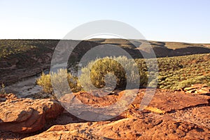 Landscape and vegetation near Kalbarri, Western Australia