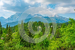 Landscape of Velika Planina in Slovenia