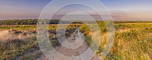 Landscape Veluwe nature reserve The Netherlands