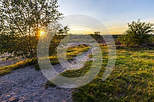 Landscape Veluwe nature reserve The Netherlands