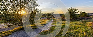 Landscape Veluwe nature reserve The Netherlands