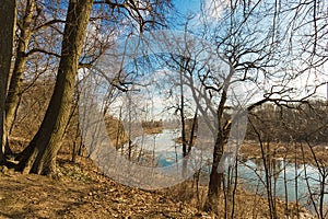 Landscape of very early spring. Trees illuminated by the sun stand on the river bank