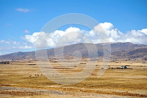 Landscape in the vicinity of Tiahuanaco.