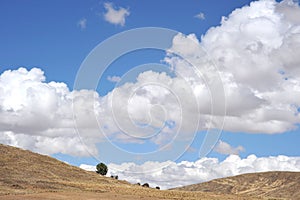 Landscape in the vicinity of Tiahuanaco.