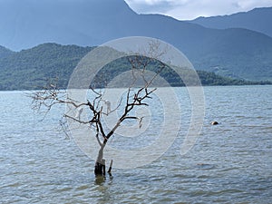 Three in water in landscape photo