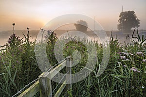 Landscape view across field to foggy River Thurne during glowing