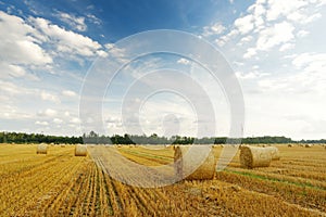 Landscape view of agricultural parcels of different crops. Hay bale fields and farmlands of Lithuania