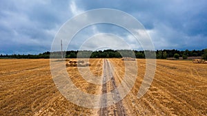 Landscape view of agricultural plots of different crops. Hay fields and farmland