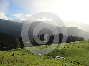 Landscape view at Anantnag kashmir