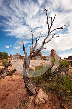 Landscape View from Arches National Park, Utah, USA