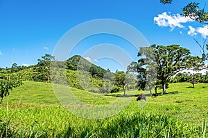 Landscape view of Atalaia Park, Itajai City, Brazil. Parque Nacional da Serra do Itajai