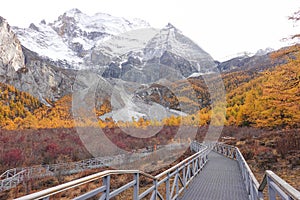 Landscape view in autumn at Yading national reserve